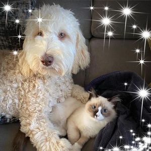 Meet your Posher, Maureen